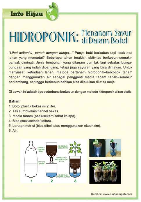 Hidroponik: menanam sayur di dalam Botol