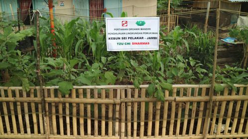 Cintai Lingkungan Dengan Tanaman Organik Yayasan Buddha Tzu Chi Indonesia