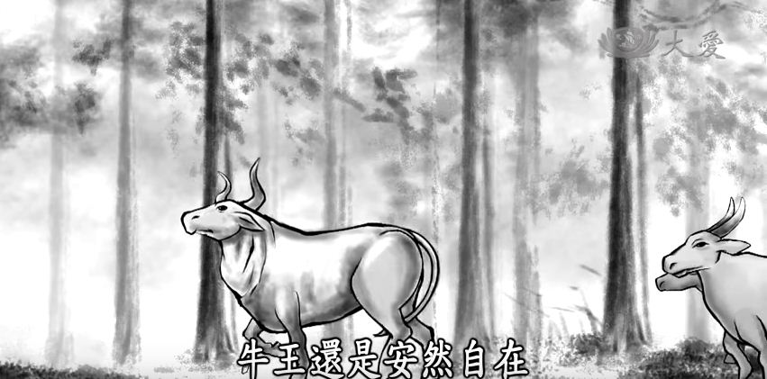 The Patience of the Buffalo King