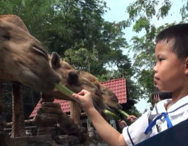 Para relawan kita mengobati mereka.