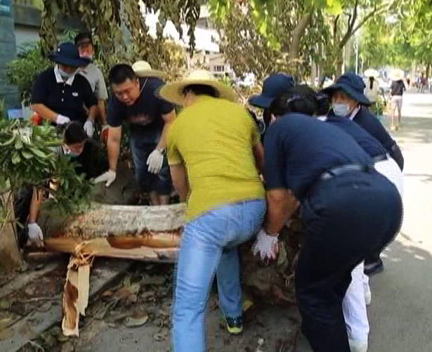 Ceramah Master Cheng Yen: Menjalankan Enam Paramita dan Puluhan Ribu Praktik di Jalan Bodhisatwa