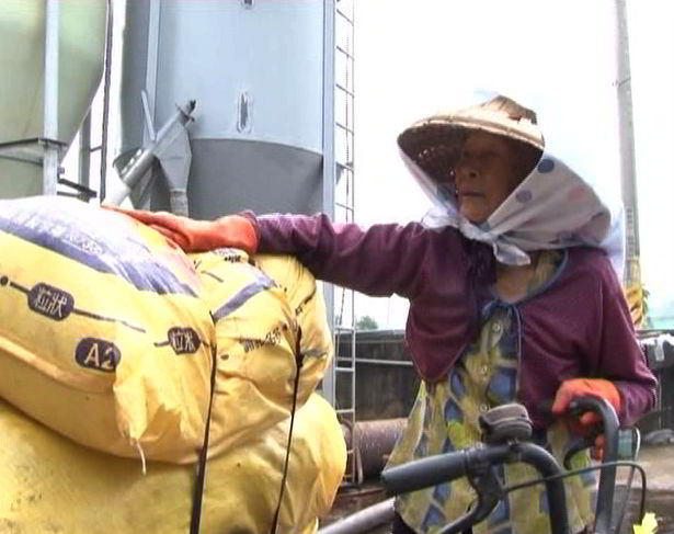 Ceramah Master Cheng Yen: Menggarap Ladang Berkah dengan Berbuat Baik