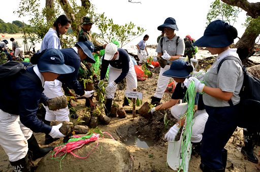 doc tzu chi