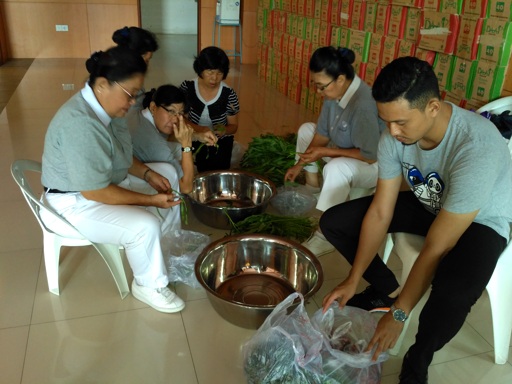 doc tzu chi