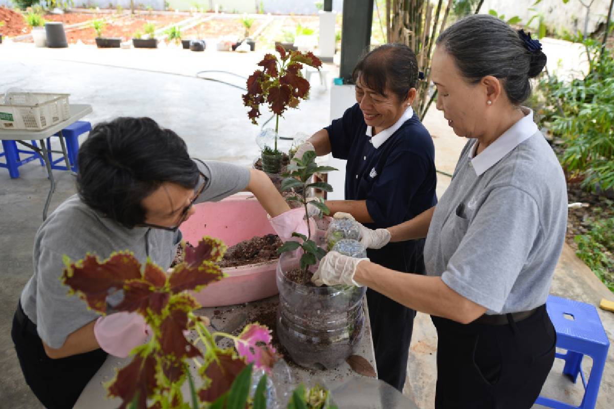 Menghidupkan Urban Farming dan Biopori di Tengah Jakarta