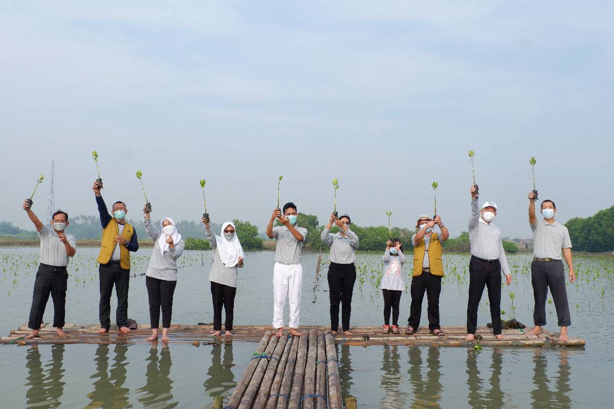 Menjaga Bumi dengan Menanam Mangrove