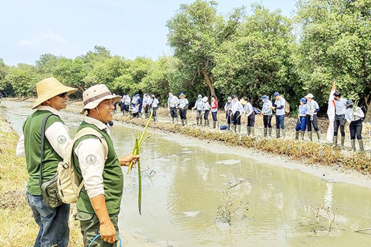 Tanam Bakau, Aksi Nyata Tzu Chi Hospital dan DAAI TV bagi Bumi