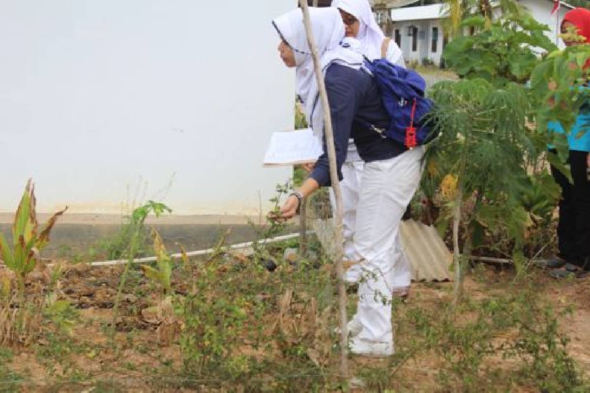 Rumah Sehat Penuh Berkah