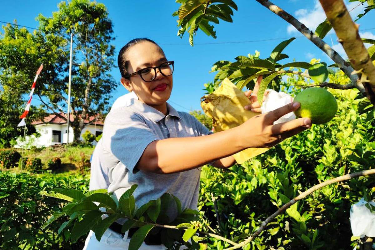 Belajar Berkebun dari Jonesman Sidabutar