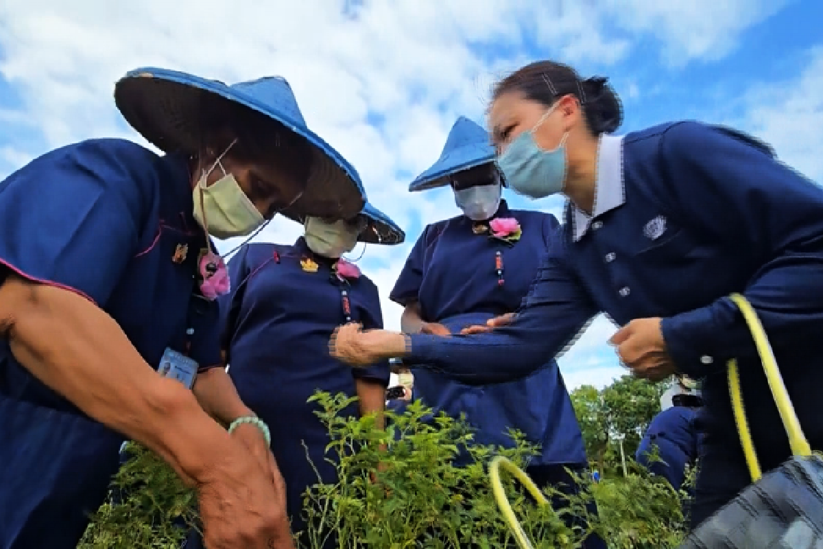 Ceramah Master Cheng Yen: Mewariskan Esensi Dharma serta Menyerapnya ke Dalam Hati dan Tindakan