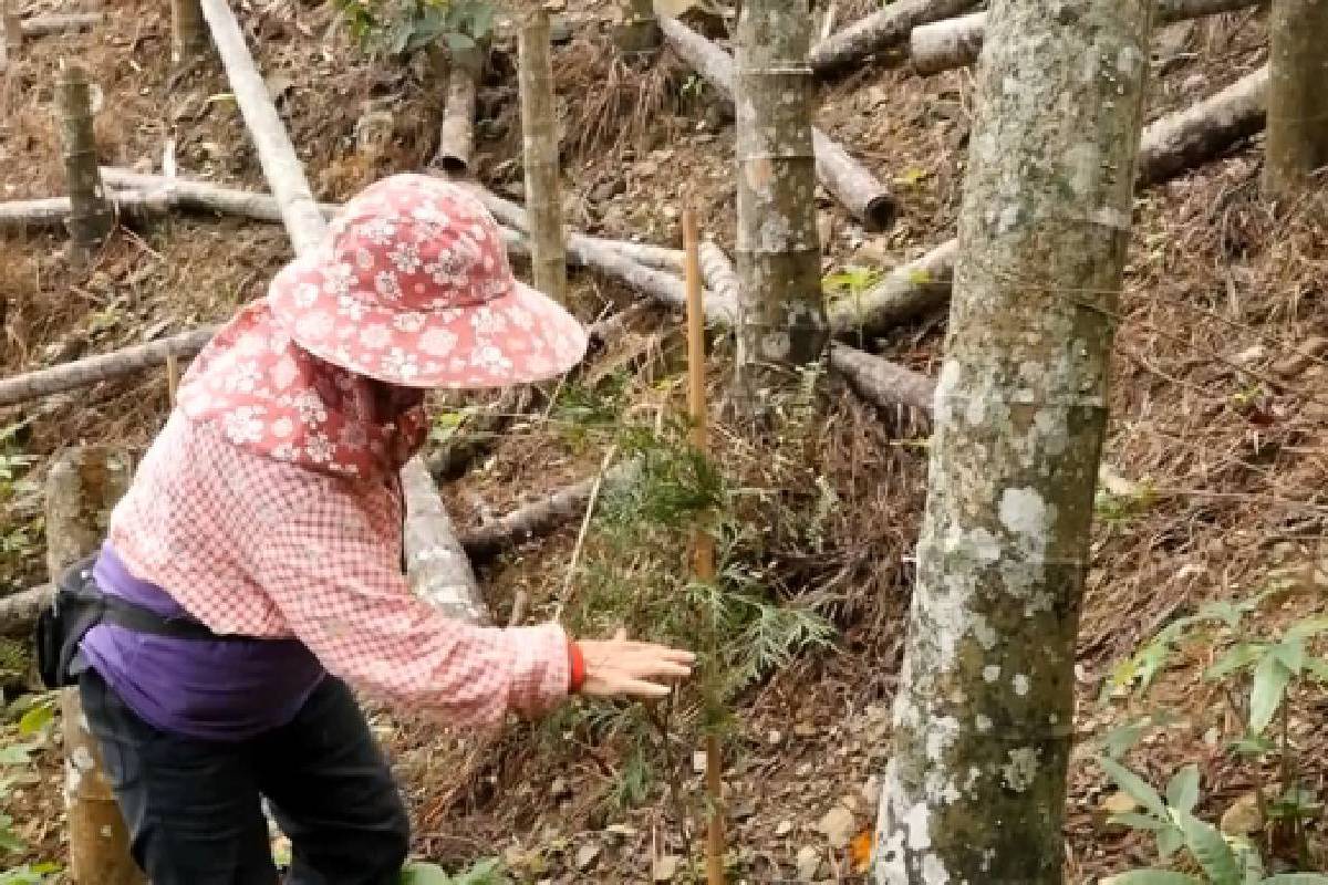 Ceramah Master Cheng Yen: Keselarasan Empat Unsur Adalah Berkah bagi Dunia
