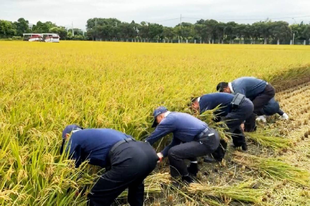 Ceramah Master Cheng Yen: Memupuk Berkah dan Pahala dengan Menggarap Ladang Batin