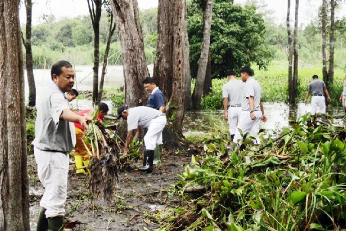 Pembersihan Eceng Gondok di Danau Seluluk