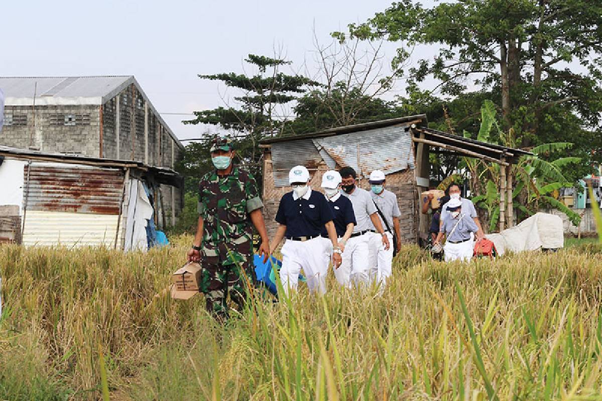 Terang Cinta Kasih di Tengah Sawah