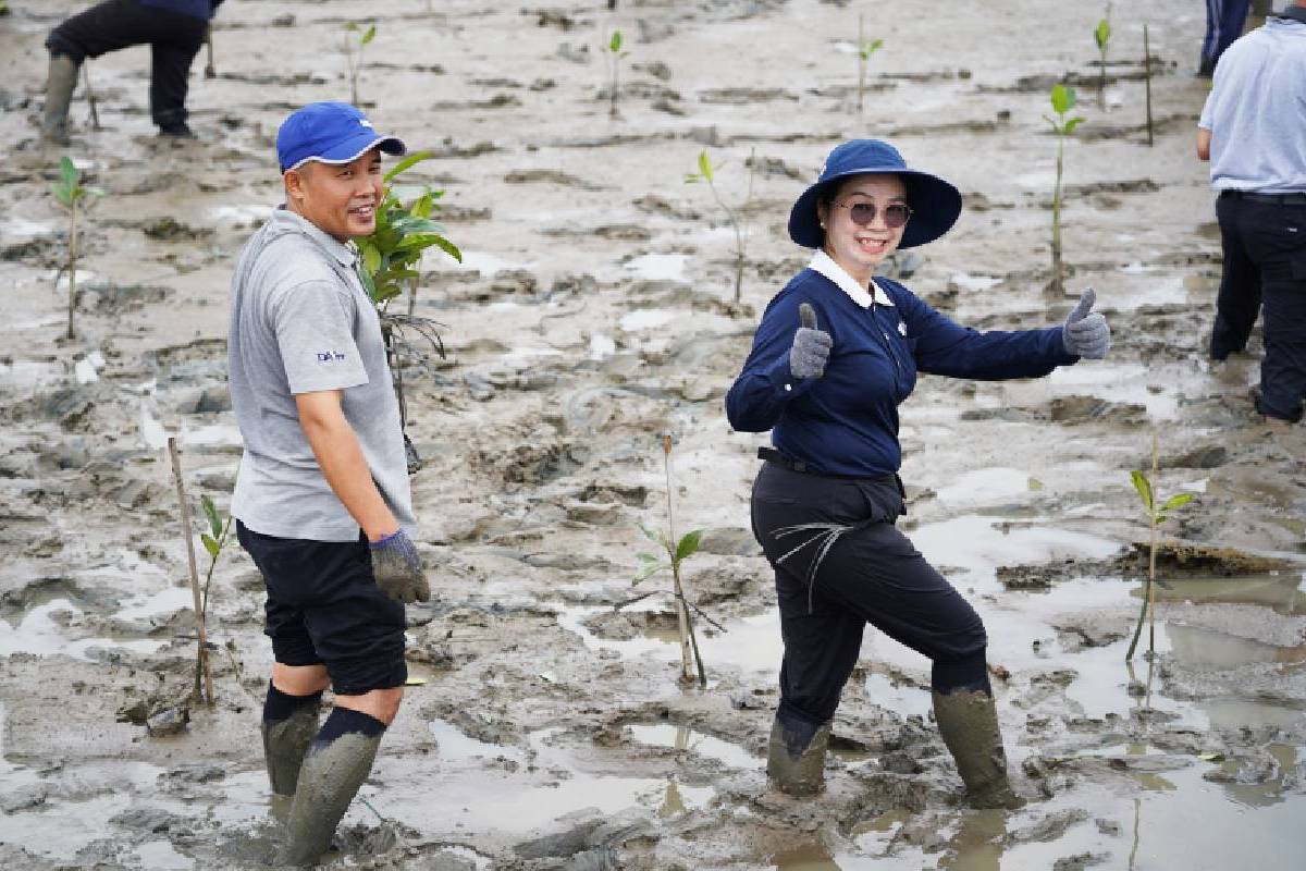 Seribu Mangrove untuk Bumi