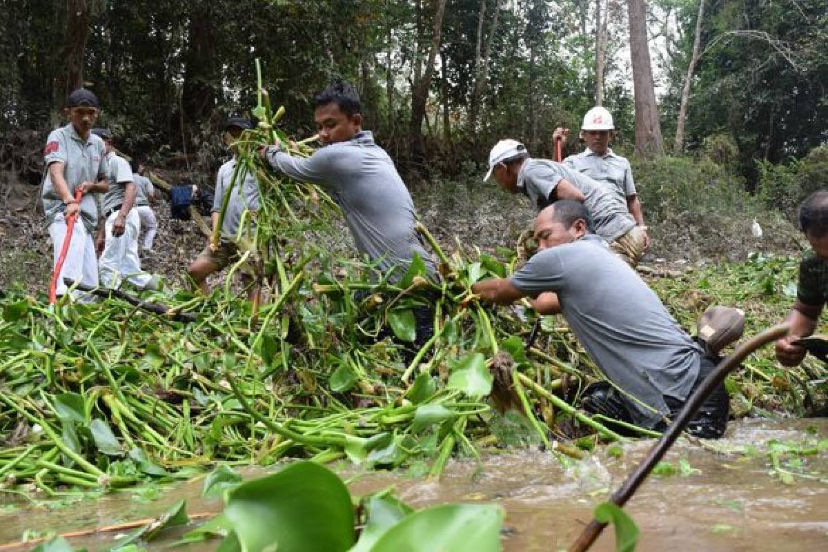 Turut Bertanggung Jawab kepada Bumi