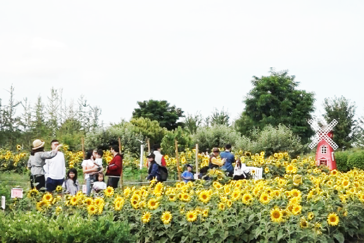 Ceramah Master Cheng Yen: Menyucikan Hati Manusia dan Menggarap Ladang Berkah   