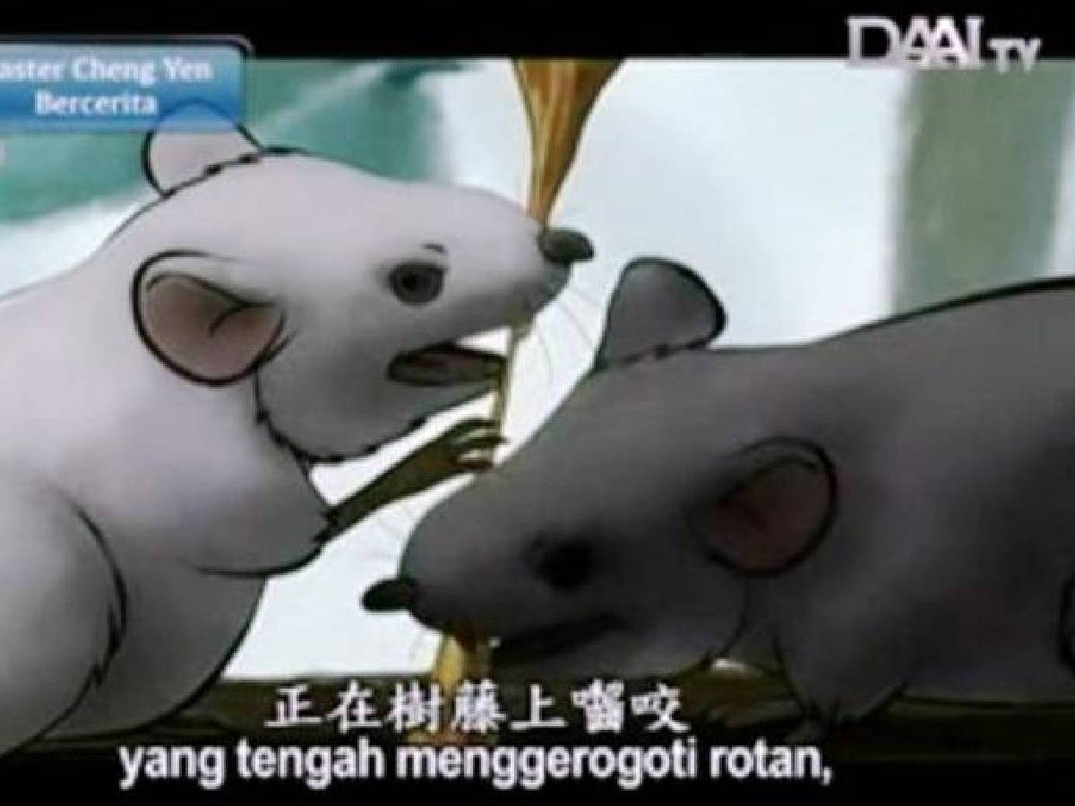 Tikus Hitam dan Tikus Putih