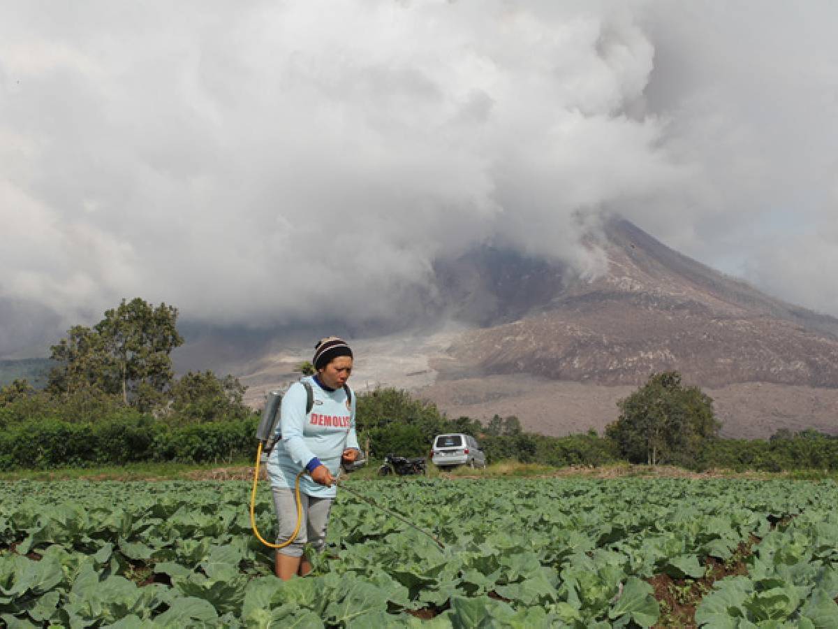 Berkawan dengan Sinabung