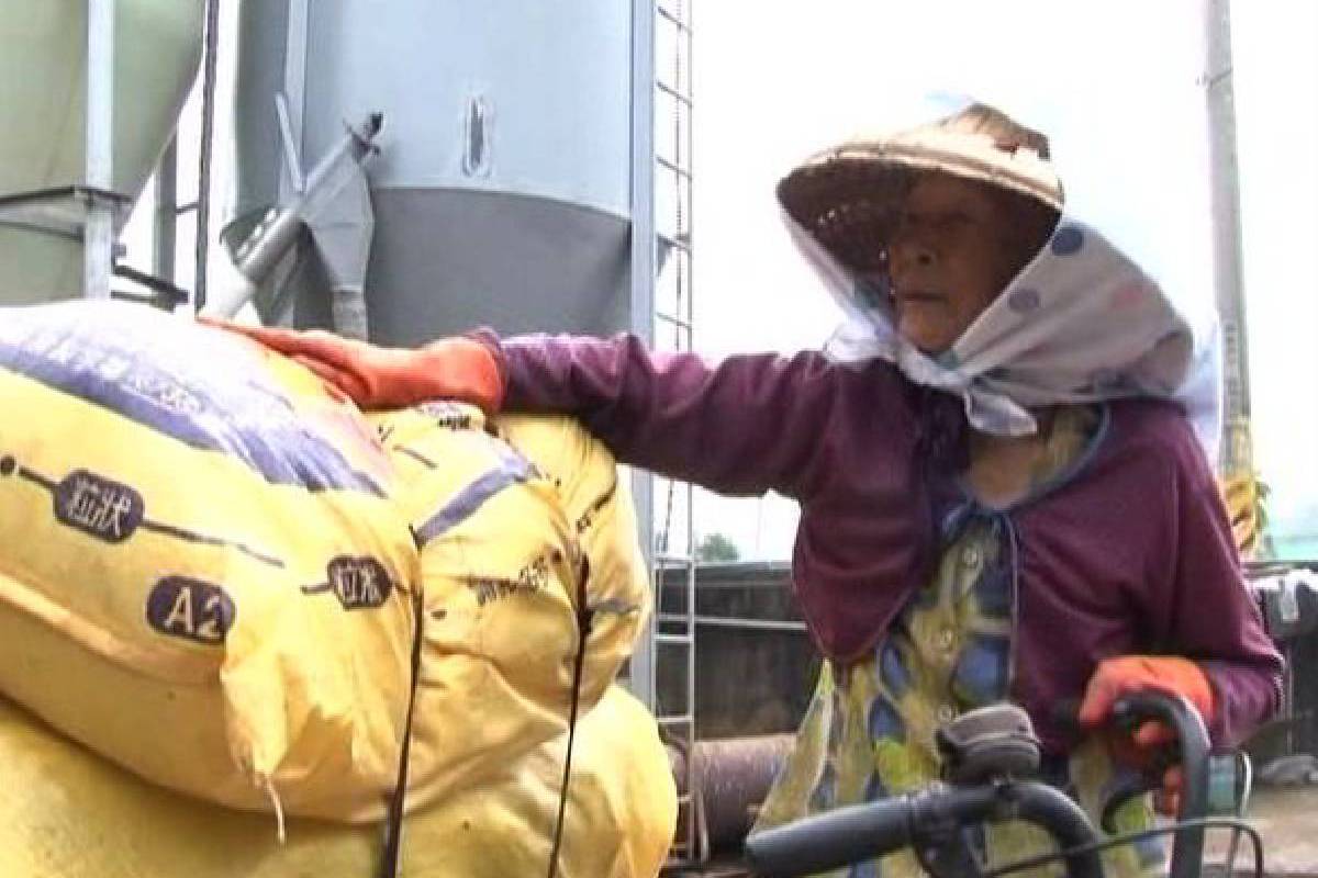 Ceramah Master Cheng Yen: Menggarap Ladang Berkah dengan Berbuat Baik