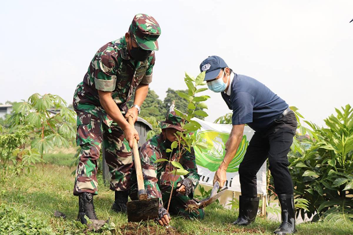 Menjaga Bumi dengan Penanaman Pohon