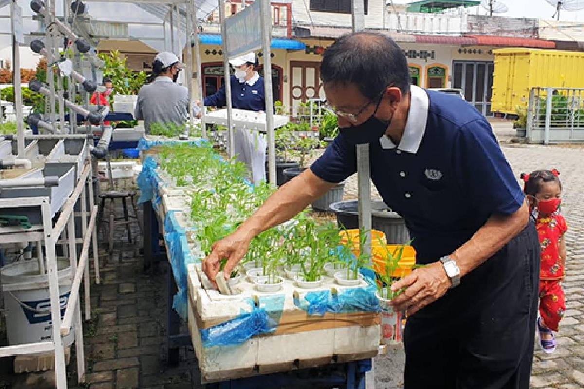 Program Go Green untuk Pelestarian Lingkungan