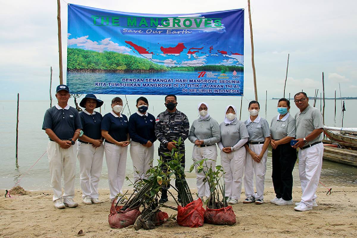 Tzu Chi Tanjung Balai Karimun Tanam 5 Ribu Pohon Mangrove Di Pantai Desa Pongkar