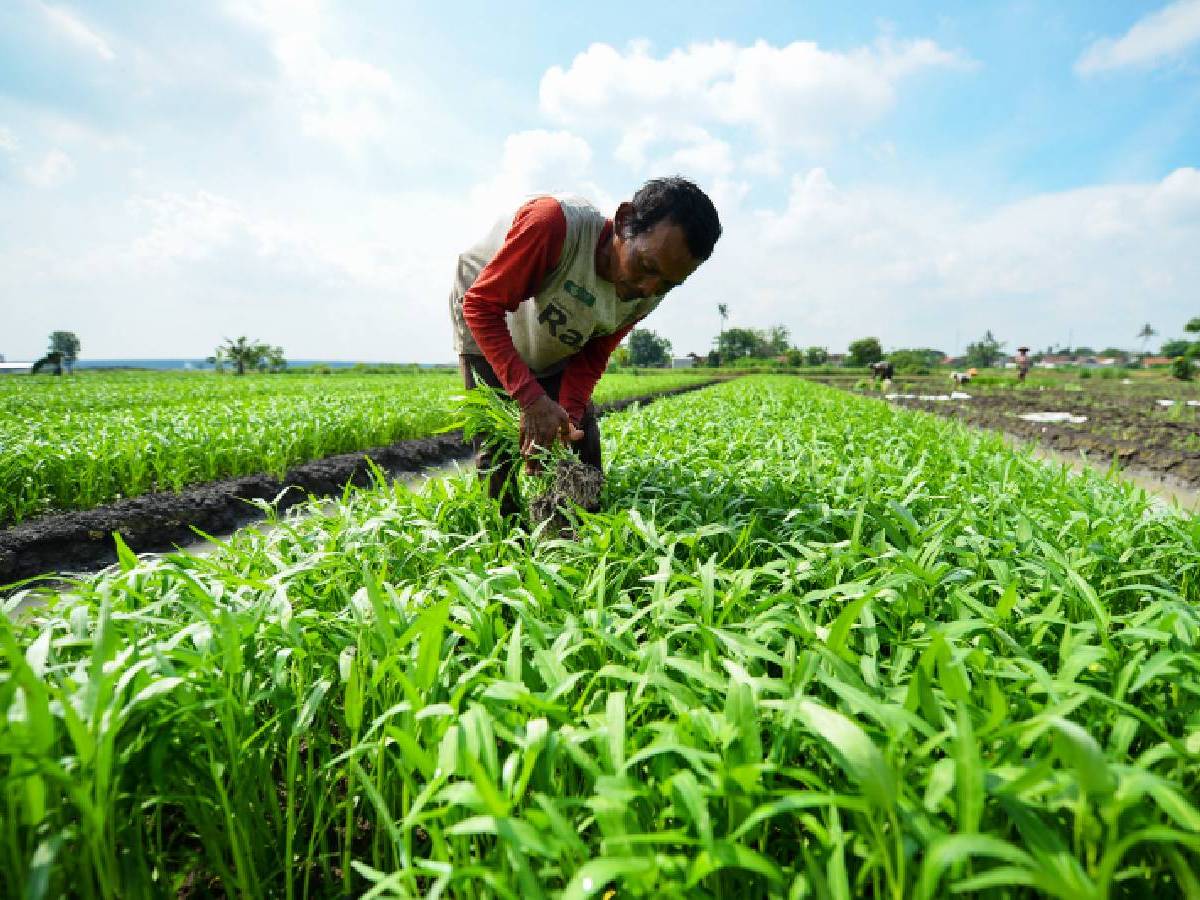 Dalam Derai Hujan, Mereka Mendapatkan Rumah yang Menguatkan