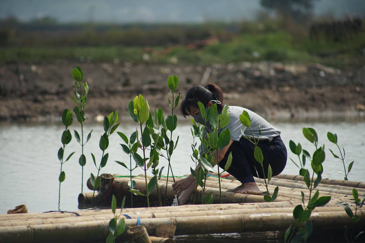 Tzu Chi Indonesia Mendukung International Philantrophy Commitment On Climate Change