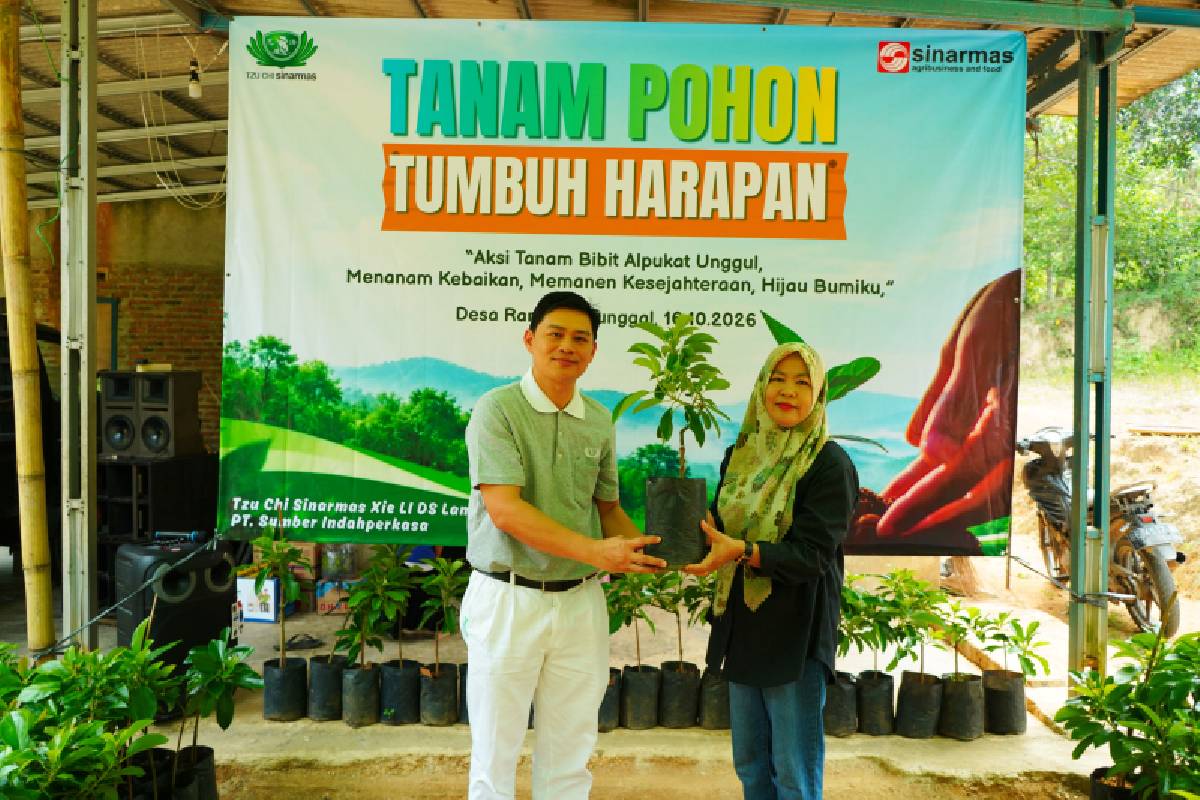 Tanam Bibit Alpukat, Memberikan Manfaat Ekologis dan Ekonomi 