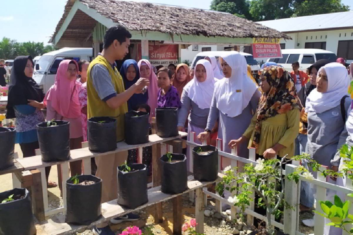 Bahan Makanan dari Halaman 