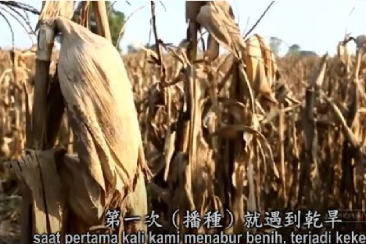 Ceramah Master Cheng Yen: Senantiasa Bersyukur dan Giat Menciptakan Berkah