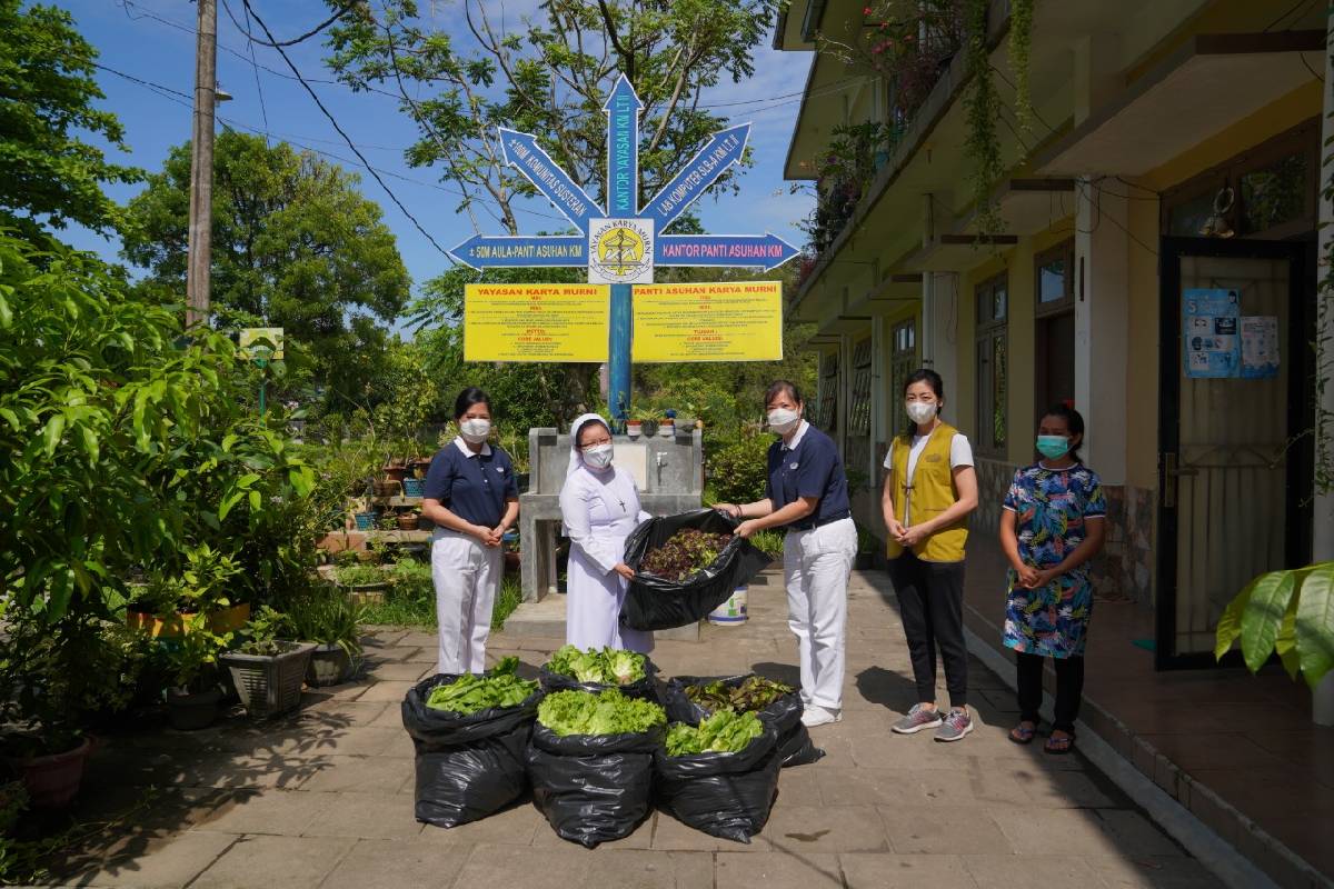 Berbagi Berkah dari Hasil Panen Raya Kebun Hidroponik