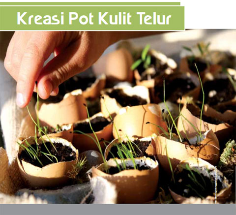 Kreasi Pot Kulit Telur