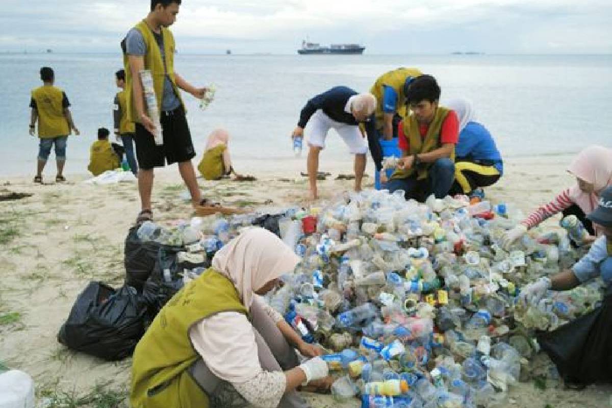 Pelestarian Lingkungan di Pulau Gusung