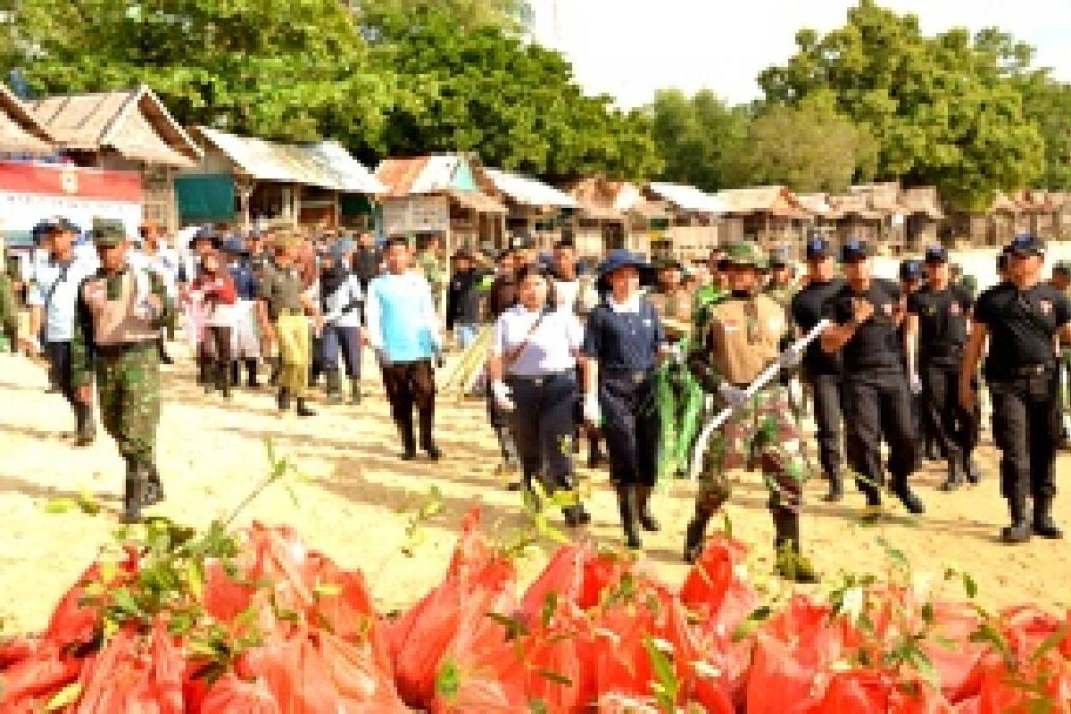 Mencegah Erosi dan Abrasi Lewat Penanaman Mangrove