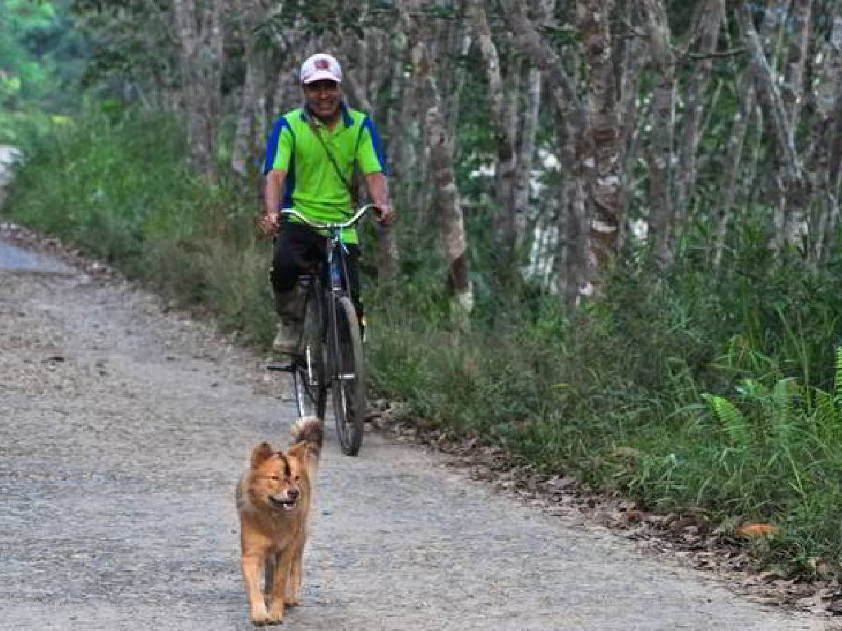 Mencari Terang ke Kota Singkawang