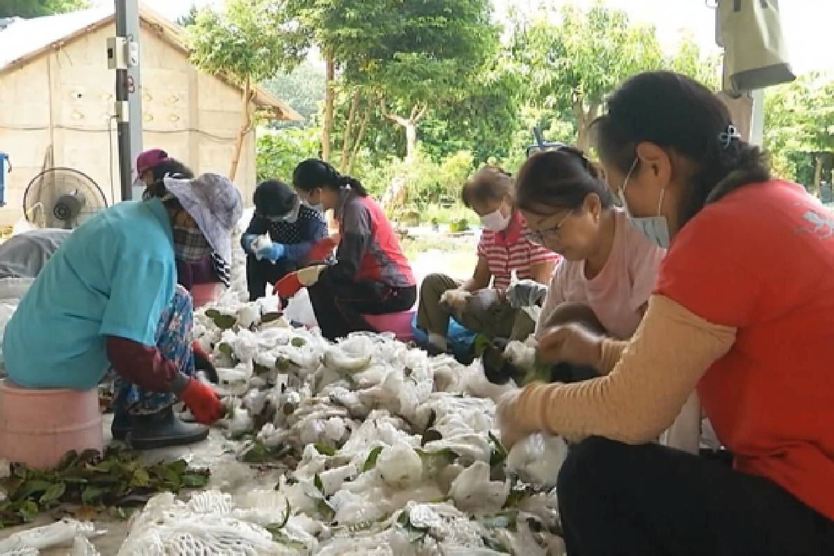 Ceramah Master Cheng Yen: Melakukan Daur Ulang Bersama untuk Melindungi Bumi