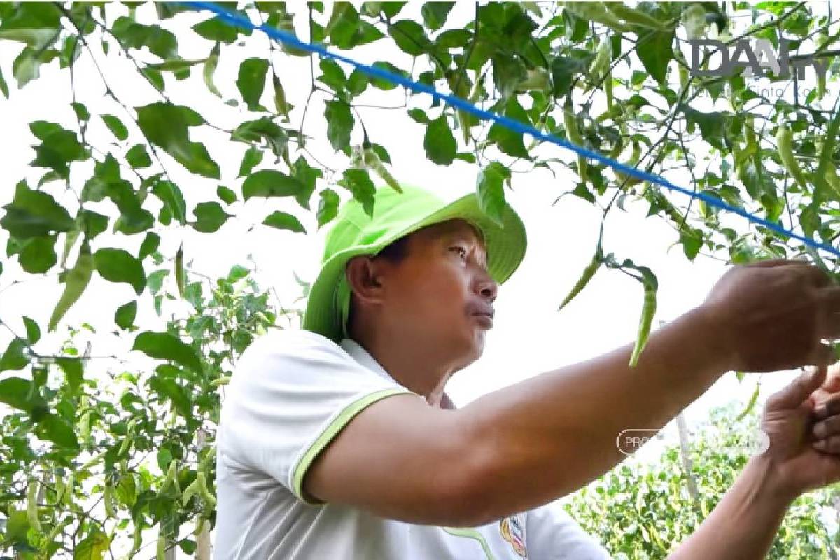 Program Refleksi DAAI TV Raih Juara 2 Pupuk Indonesia Media Award