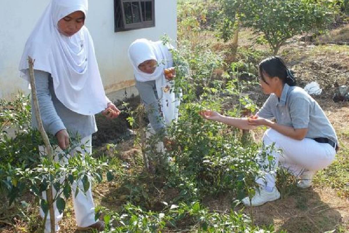 Vegetaris itu Mudah