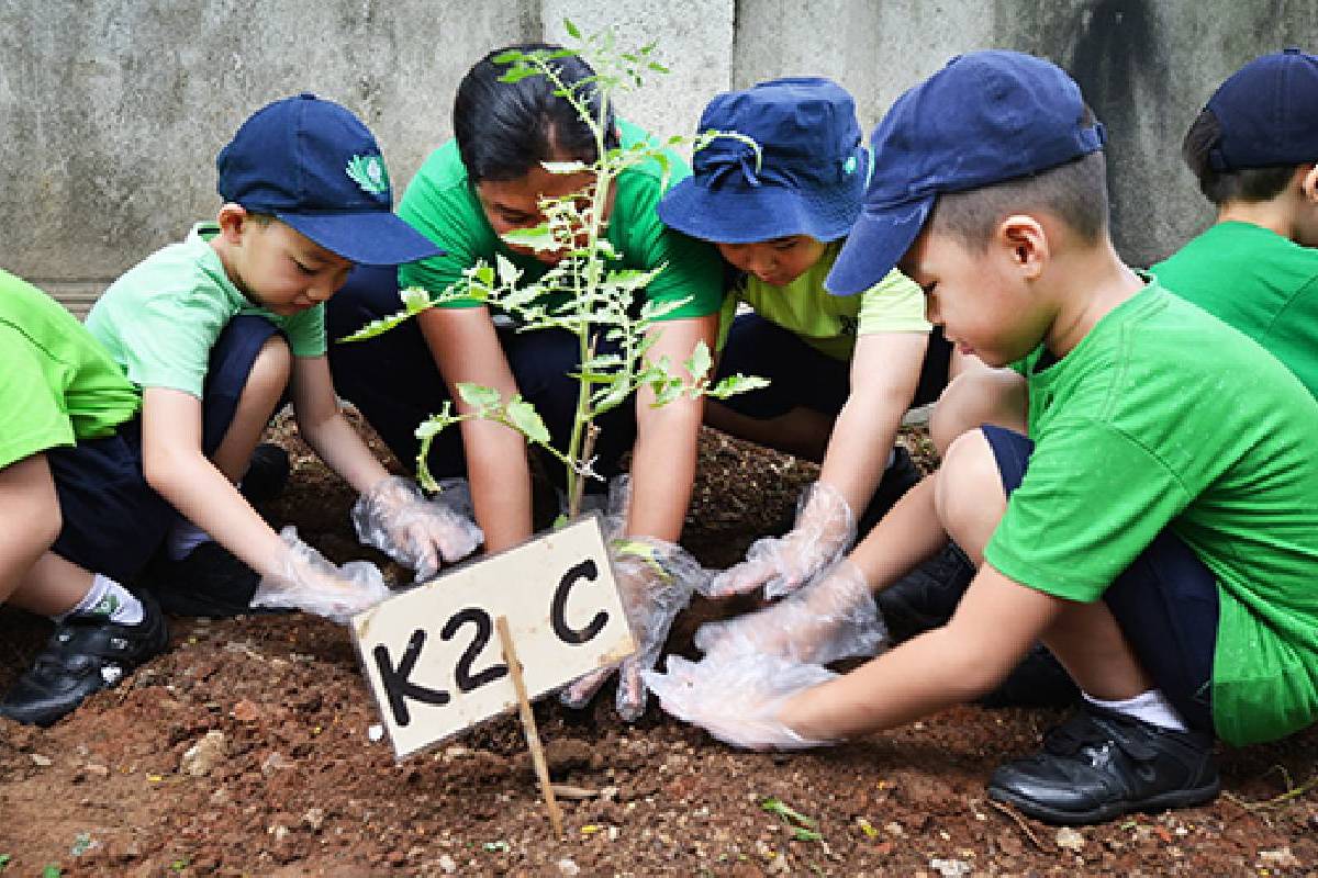 Mengurangi Polusi Lewat Earth Day