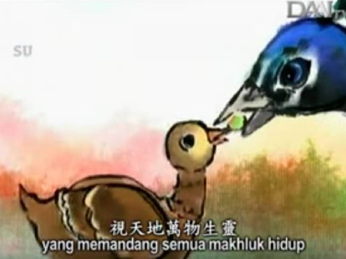 Burung Merak Menolong Harimau