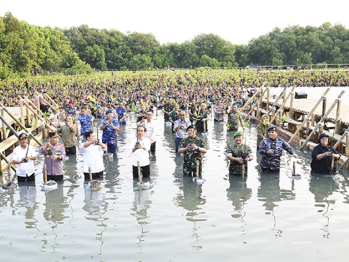 Tanam Mangrove, Aksi Nyata Atasi Perubahan Iklim