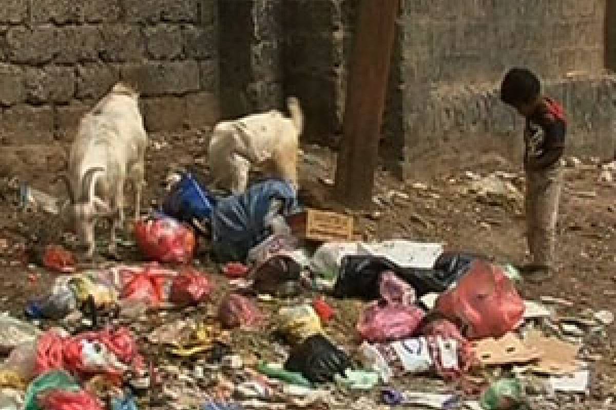 Suara Kasih: Menggarap Ladang Berkah