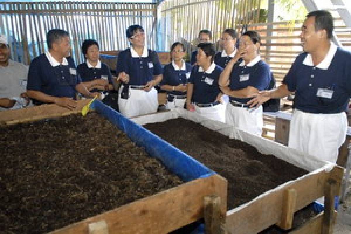 Ingin Mencoba Komposcing di Rumah