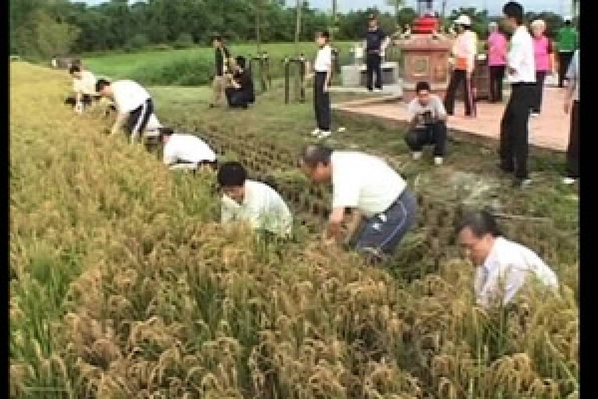 Suara Kasih: Bersumbangsih Sepenuh Hati