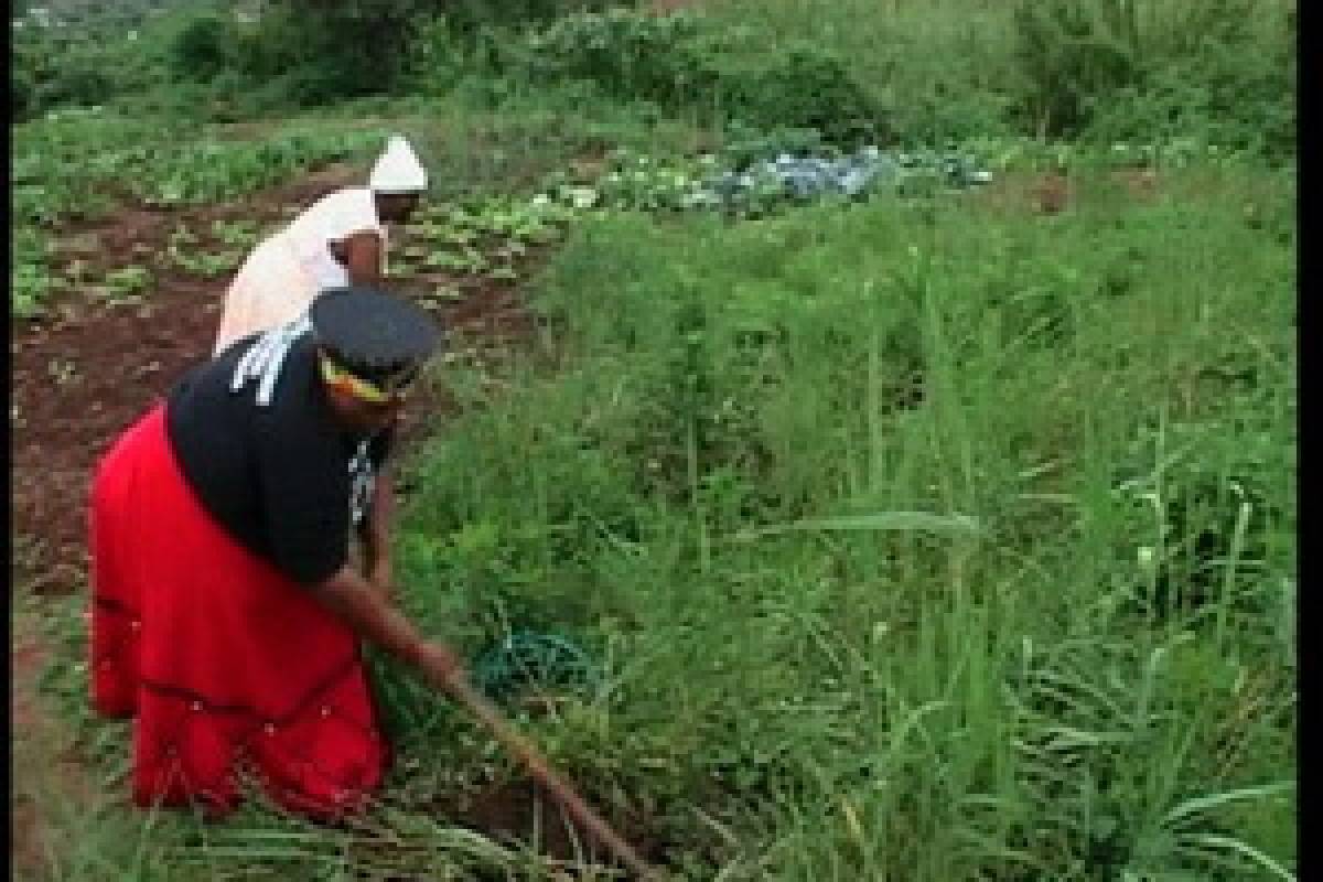 Suara Kasih:Benih Bodhisatwa di Afrika