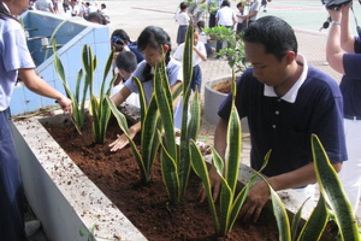 Bumi yang Hijau Berawal dari Tangan Kita