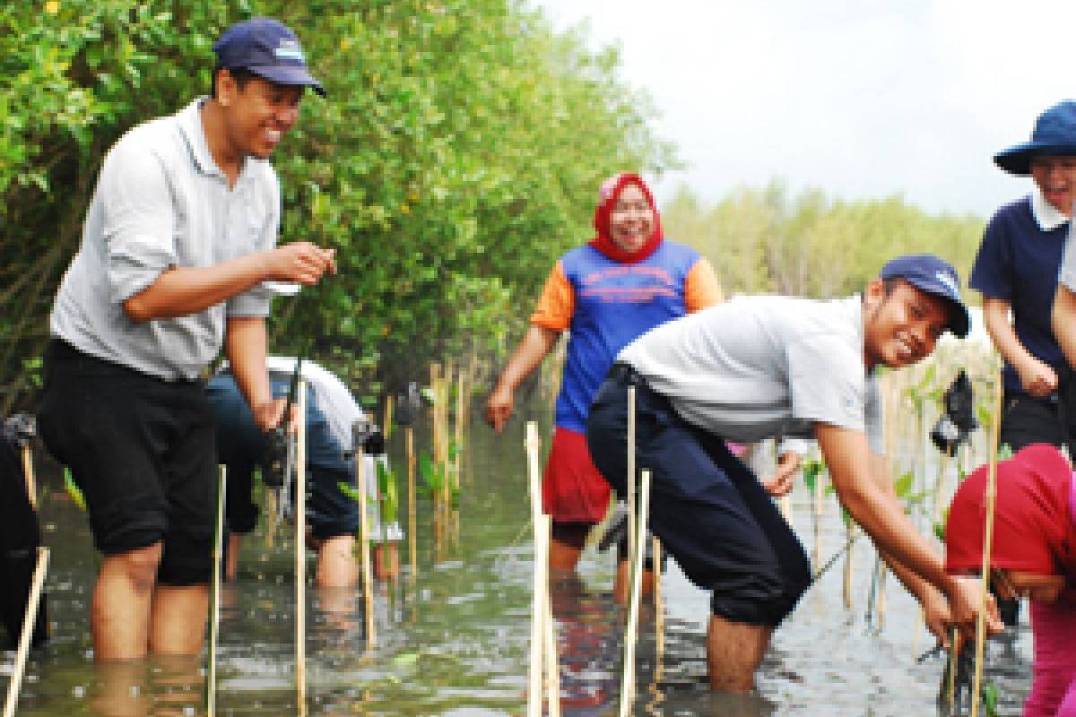 Aksi Tanam Bakau DAAI TV dan Tzu Chi Medan