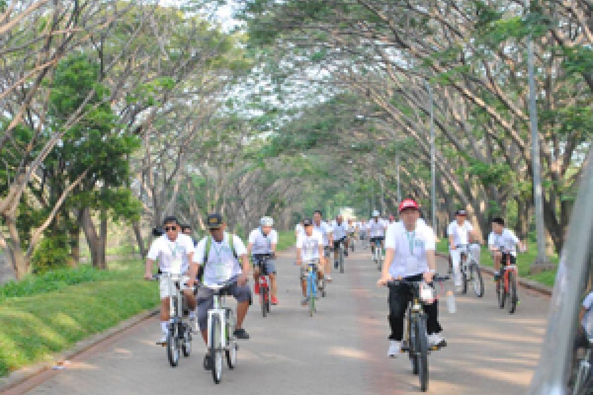 Go Green With Fun Bike